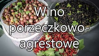 Wino porzeczkowoagrestowe  łatwy i szybki przepis [upl. by Handbook]