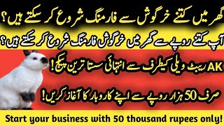 Start your business with 50 thousand rupees onlyصرف 50 ہزار روپے سے اپنے کاروبار کا آغاز کریں [upl. by Alyar875]