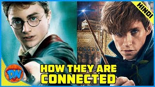 How Harry Potter and Fantastic Beasts Movies are Connected  Explained in Hindi [upl. by Ennayr616]