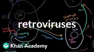 Retroviruses  Cells  MCAT  Khan Academy [upl. by Wiggins]