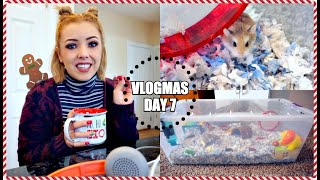 I GOT A NEW HAMSTER  Meet my new Roborovski Hamster  Vlogmas [upl. by Assed]