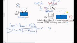 15Prop Coll  Abaissement de Pression de vapeur déquilibre [upl. by Vary]