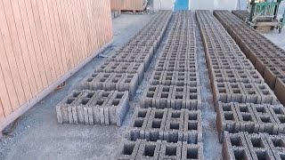 Ecomax Ladrillos de plástico reciclado para la construcción  Emprendate Show [upl. by Paza110]