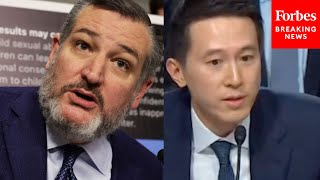 Ted Cruz Asks TikTok CEO Point Blank What Happened In Tiananmen Square At Child Safety Hearing [upl. by Hollister]