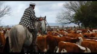 Sistema Nacional de áreas protegidas en Uruguay [upl. by Atnas749]