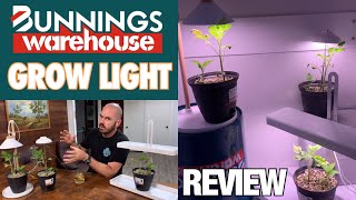 Bunnings Grow Light Review [upl. by Sihonn]