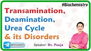 Transamination Deamination Urea cycle and its Disorders [upl. by Ebony874]