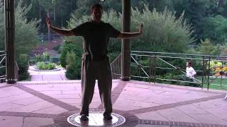 Crane Style Qigong [upl. by Nevarc]