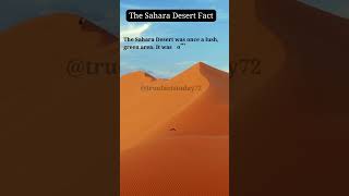 Incredible Sahara Desert Facts You NEVER Knew 🌵🌍quot shortsfeed truefacts truefactstoday facts [upl. by Ahseet]