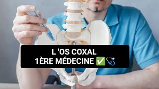 ANATOMIE🦴 L OS COXAL OSTÉOLOGIE DU MEMBRE INFÉRIEUR  1ÈRE MÉDECINE ✅🩺 [upl. by Haldan]