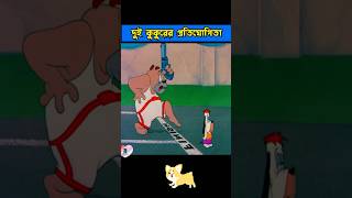 মাথা মোটা কুকুরের দৌড় প্রতিযোগিতা 🤣 shorts ytshorts banglacartoon [upl. by Ong881]