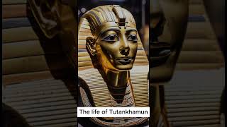 The life of Tutankhamun [upl. by Eliza]