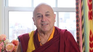 Les voeux de Matthieu Ricard pour 2018 [upl. by Fanestil]