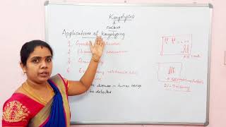 Karyotyping applications in Tamil  class 12CBSETNSCERT  PRINCIPLES OF INHERITANCE AND VARIATIONS [upl. by Losyram]