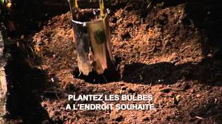 Astuce de jardin Floralux Planter des bulbes [upl. by Ryhpez]