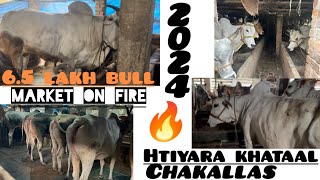 BAKRAEID KA CHAKALLAS SHURU  RATE KAISA HOGA  PRICE UPDATE KOLKATA COW2024 HATIYARA KHATAL [upl. by Ayekan]