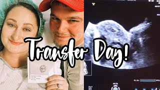 Live Embryo Transfer  IVF Journey [upl. by Alliw551]