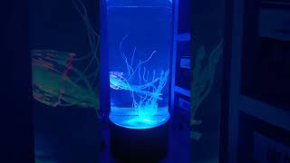 Jellyfish lamp Link is in the bio jellyfishlamp [upl. by Pegasus]