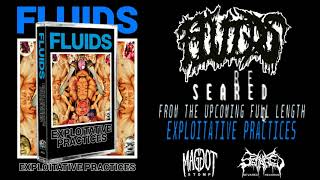 Fluids  Seared SINGLE 2019  Brutal Deathgrind [upl. by Zawde]