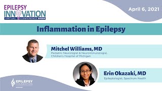 Inflammation in Epilepsy  Epilepsy Innovation Virtual Conference Week [upl. by Claude352]