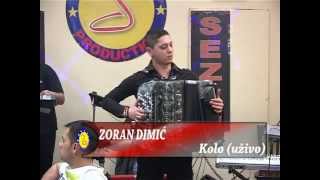 Zoran Dimic  Kolo harmonika  LIVE  Sezam iz Dijaspore  Tv Sezam 2014 [upl. by Akeinahs415]