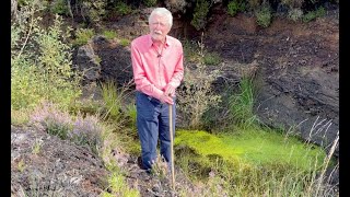 Duckweed with John Feehan [upl. by Nnyrat]