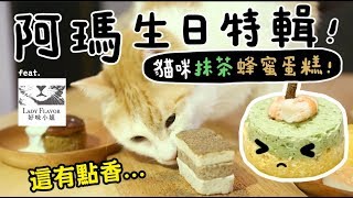 【黃阿瑪的後宮生活】阿瑪11歲生日特輯！貓吃的抹茶蜂蜜蛋糕？ft好味小姐 [upl. by Mylander420]