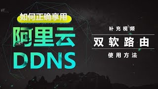 填坑双软路由爱快LEDE下使用阿里云DDNS正确解析方式 [upl. by Raknahs]