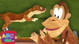 Pop Goes the Weasel  CoComelon Nursery Rhymes amp Kids Songs [upl. by Danie]