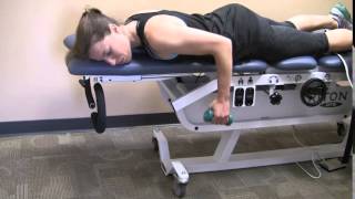 Prone Shoulder Row [upl. by Oiramd]