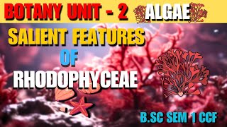 Salient Features Of Rhodophyceae। Honours General। Unit2 Botany Algae। [upl. by Naillij]