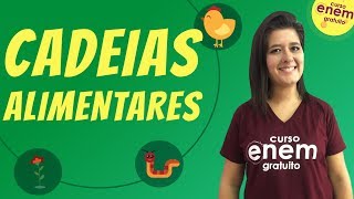 CADEIAS ALIMENTARES  Resumo de Biologia para o Enem [upl. by Fuchs]