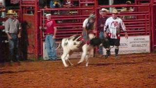 Jr Rodeo calf steer and bullriding [upl. by Maud]