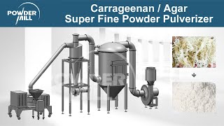 Carrageenan  Agar  Seaweed Stainless Steel Super Fine Powder Pulverizer Machine  Mill Powder [upl. by Notserp812]