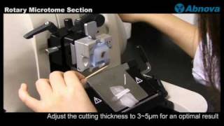 Rotary Microtome Section [upl. by Kumler]