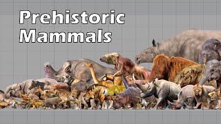 Size Comparison of Animals the Prehistoric Mammals [upl. by Namaan]