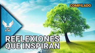 MARATÓN Reflexiones de la Vida  Dios Amor y Espiritualidad en Nuestro Diario Vivir  Soy De Dios [upl. by Mckee558]