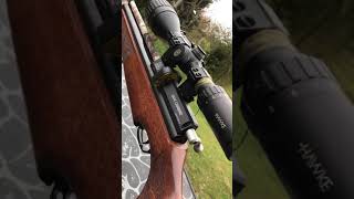 Air arms s410 review [upl. by Austina966]