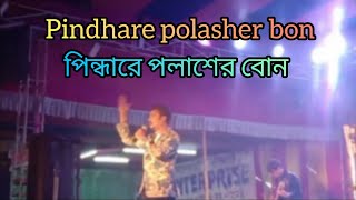 PINDARE POLASHER BON  পিন্দারে পলাশের বোন । [upl. by Akined435]