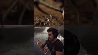 Bitten by a Deadly Water Spider 🕷️  Joe rogan animals wildlife [upl. by Einniw124]