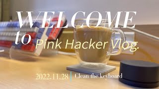 Vlog Clean Mechanical Keyboard  把鍵盤賣掉了，懷著嫁女兒的心情最後一次幫他整理  鍵盤清潔  機械鍵盤日常 積木軸 CIY68 XDA 鍵帽 [upl. by Aerdnad]