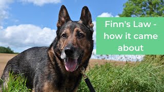 Story behind Finns Law [upl. by Milman904]