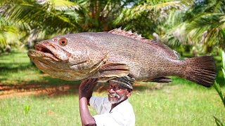 GIANT HAMOUR FISH PAKODA RECIPE  பண்டாரி மீனில் ருசியான பக்கோடா  BIG FISH CUTTING SKIL  GRANDPA [upl. by Waldemar146]