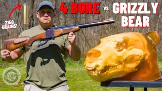 4 BORE Rifle vs Grizzly Bear 🐻 The Biggest Rifle Ever [upl. by Simetra]