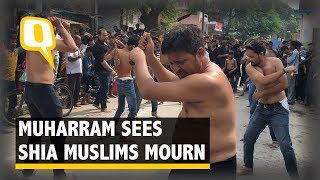 Watch the CenturiesOld Mourning Practice of Shia During Muharram  The Quint [upl. by Correna910]