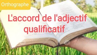 Laccord de ladjectif qualificatif [upl. by Innoc]