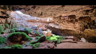 Nullarbor Cave Exploring [upl. by Greeson812]