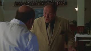 Tony Asks Artie To Hire Furio  The Sopranos HD [upl. by Enirhtac56]