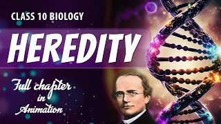 CLASS 10 HEREDITY amp EVOLUTION Full chapter explanation Animation  NCERT Class 10 Chapter 8 [upl. by Malchy]