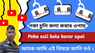 পকা চুলি কলা কৰাৰ উপায়  Poka suli kola korar upay [upl. by Leval244]